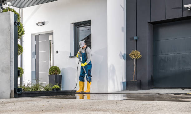 Best Soft Washing  in Hanover Park, IL